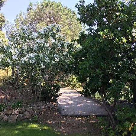 Villa La Tramontane, Propriete Avec Piscine, Proche Sainte-Maxime