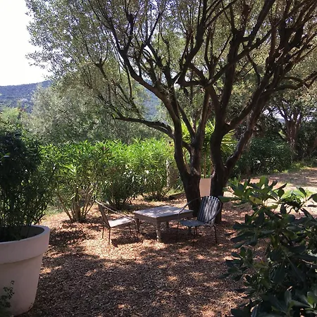 La Tramontane, Propriete Avec Piscine, Proche * Sainte-Maxime